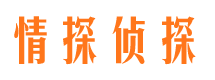 乾安市婚外情调查